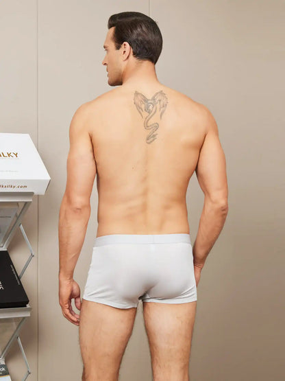 Men‘s 100% Mulberry Silk Boxer Briefs Underwear