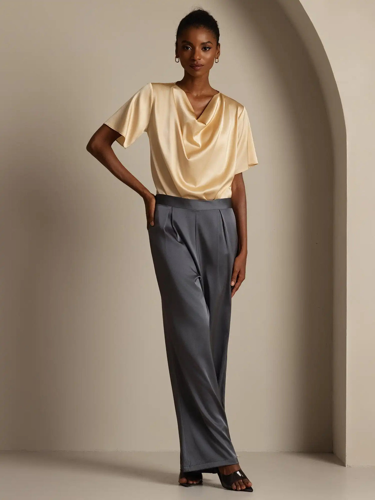 19Momme Silk High Waist Wide Leg Pleated Women's Pants
