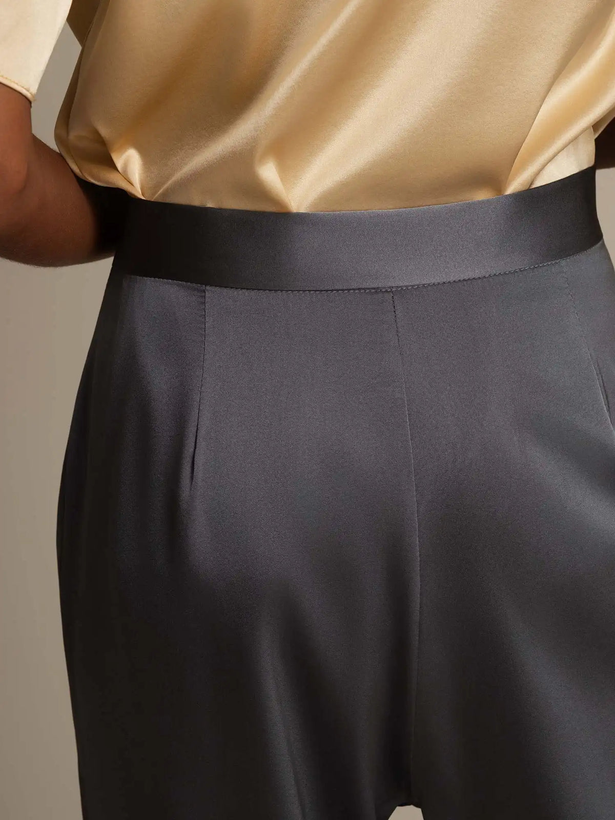 19Momme Silk High Waist Wide Leg Pleated Women's Pants