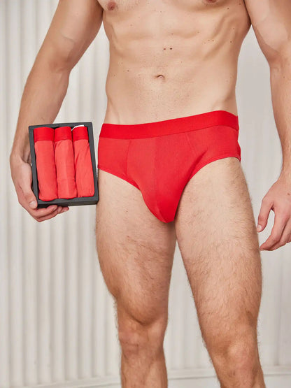 3Pcs Men Briefs Breathable 100% Mulberry Silk Underwear