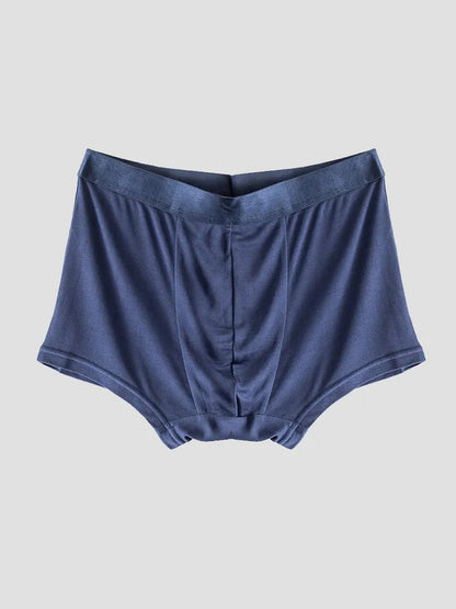 Men‘s 100% Mulberry Silk Boxer Briefs Underwear