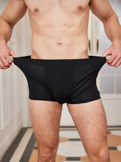 3Pcs Mens 100% Mulberry Silk Boxer Briefs Underwear