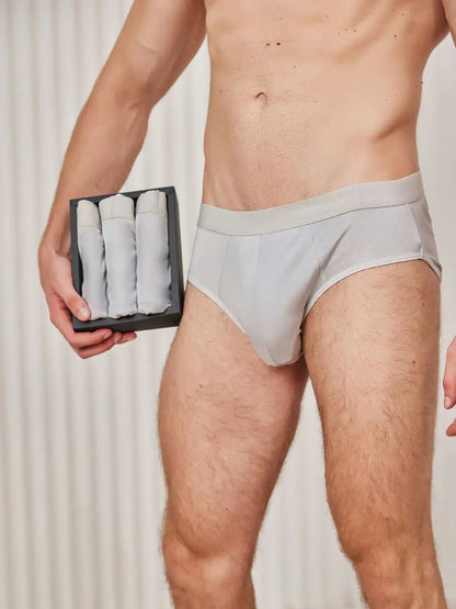 3Pcs Men Briefs Breathable 100% Mulberry Silk Underwear