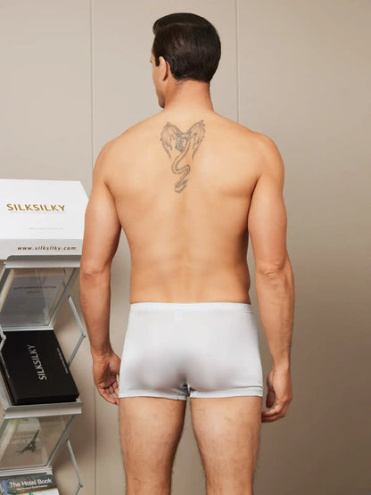 3Pcs Men‘s 100% Mulberry Silk Boxer Briefs Underwear