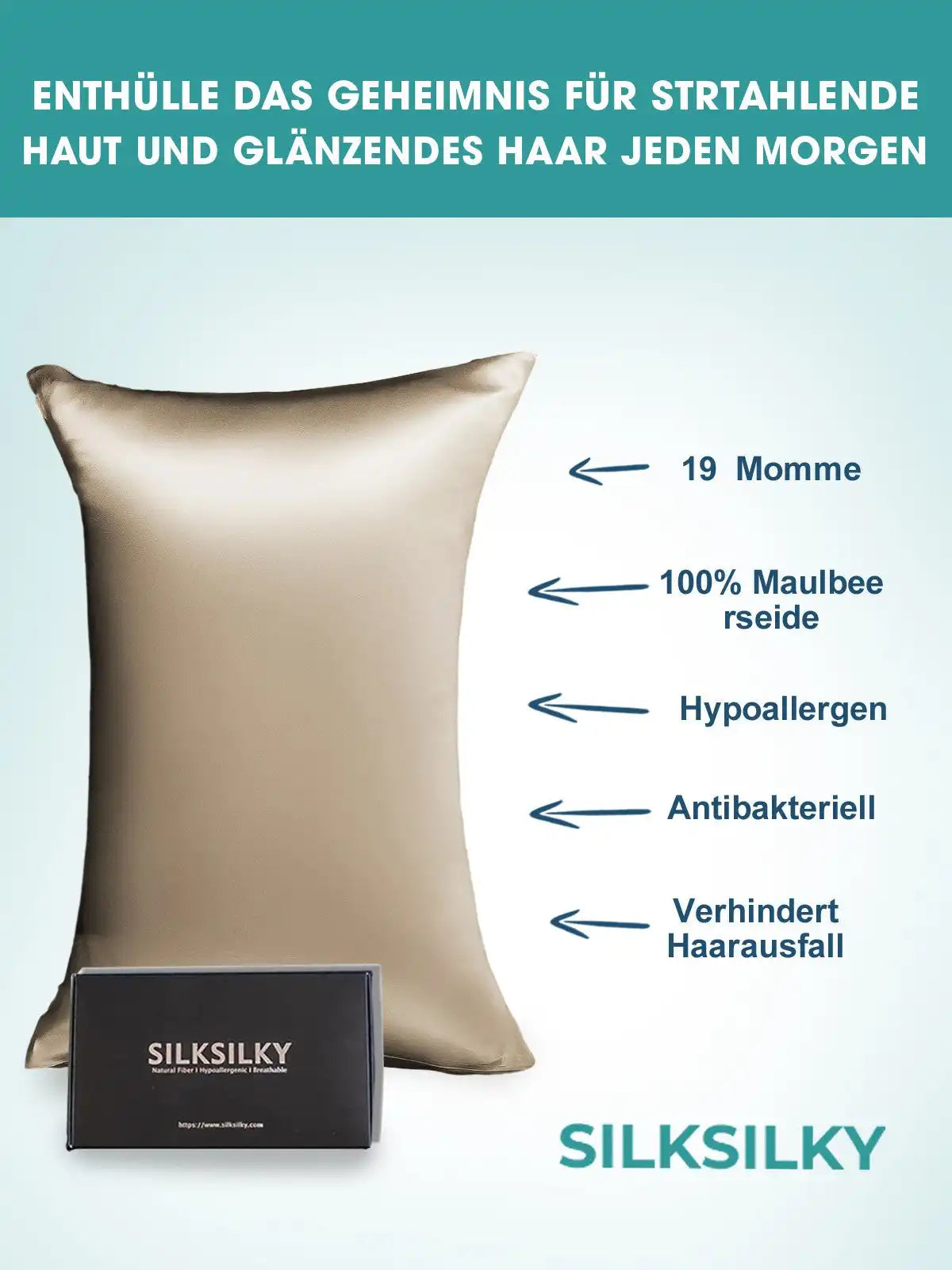 2Pcs 19Momme 100% Mulberry Silk Pillowcases Bundle - Envelope