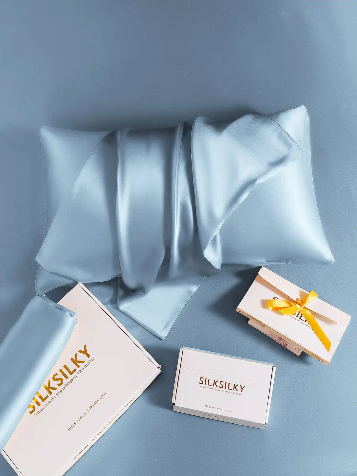 2Pcs 19Momme 100% Mulberry Silk Pillowcases Bundle - Envelope