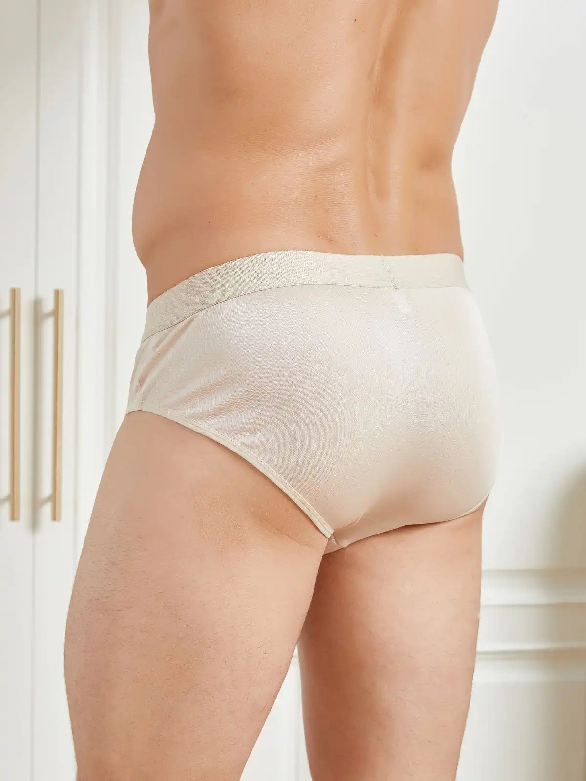 Men Briefs Breathable 100% Mulberry Silk Underwear