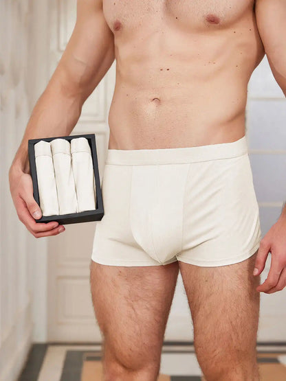 3Pcs Mens 100% Mulberry Silk Boxer Briefs Underwear