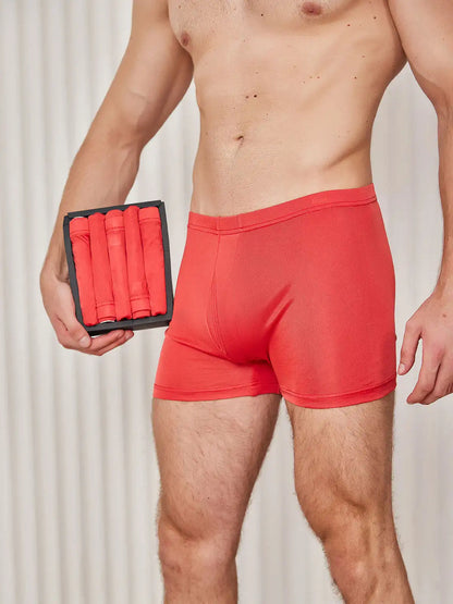 5Pcs 100% Mulberry Silk Men‘s Boxer Briefs with Fly Opening