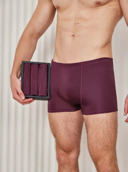 3Pcs Men‘s 100% Mulberry Silk Boxer Briefs Underwear