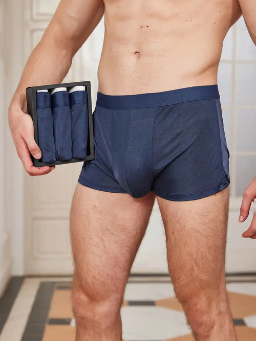 3Pcs Mens 100% Mulberry Silk Boxer Briefs Underwear