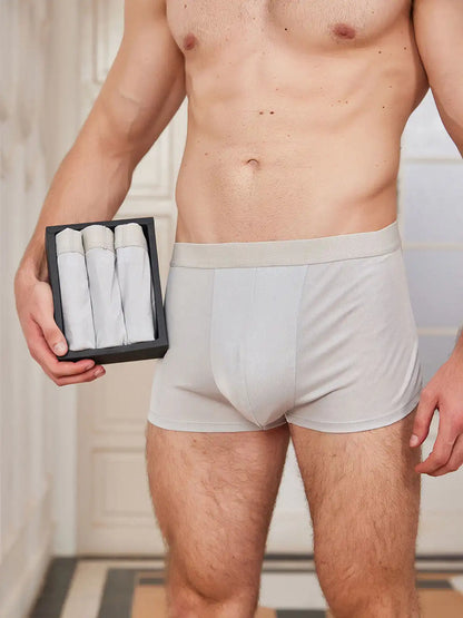 3Pcs Mens 100% Mulberry Silk Boxer Briefs Underwear