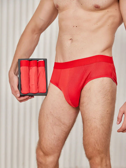 3Pcs Men Briefs Breathable 100% Mulberry Silk Underwear