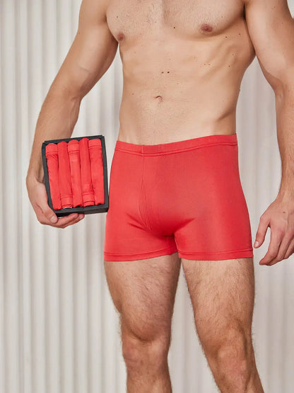 5Pcs 100% Mulberry Silk Men‘s Boxer Briefs with Fly Opening